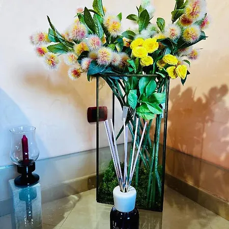 La Piccola Perla Semesterbostad *