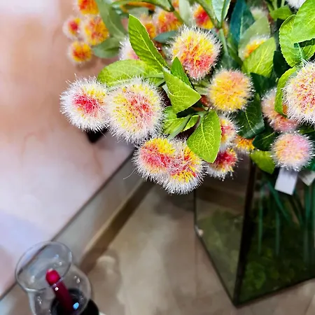 別荘 La Piccola Perla